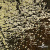Трикотажное полотно, Сетка с пайетками, шир.130 см, #315, цв.-чёрный/золото - купить в Ханты-Мансийске. Цена 693.39 руб.