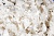 Тесьма плетеная "Рюш" с жемугом №2 (уп.13 м), цв.-молочный  - купить в Ханты-Мансийске. Цена: 46.82 руб.