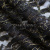 Кружевное полотно XD LACE 1-4, 80 гр/м2, шир.150см, цвет чёрный - купить в Ханты-Мансийске. Цена 245.94 руб.