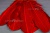 Декоративный Пучок из перьев, перо 23см/красный - купить в Ханты-Мансийске. Цена: 11.16 руб.