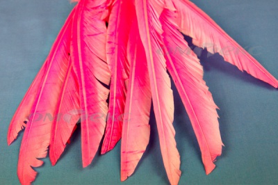 Декоративный Пучок из перьев, перо 25см/розовый - купить в Ханты-Мансийске. Цена: 14.40 руб.