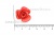 Украшение "Розы малые №1" 20мм - купить в Ханты-Мансийске. Цена: 32.49 руб.