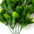 Трава искусственная -1, шт (эвкалипт лист 32 см/8 см)				 - купить в Ханты-Мансийске. Цена: 169.93 руб.
