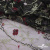 Сетка с вышивкой "Мадрид" 135 г/м2, 100% нейлон, ширина 130 см, Цвет 4/Черный - купить в Ханты-Мансийске. Цена 980 руб.