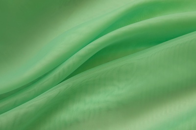 Портьерный капрон 15-6123, 47 гр/м2, шир.300см, цвет св.зелёный - купить в Ханты-Мансийске. Цена 137.27 руб.