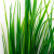 Трава искусственная -2, шт (осока 41см/8 см)				 - купить в Ханты-Мансийске. Цена: 104.57 руб.