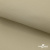 Ткань подкладочная TWILL 230T 14-1108, беж светлый 100% полиэстер,66 г/м2, шир.150 cм - купить в Ханты-Мансийске. Цена 90.59 руб.