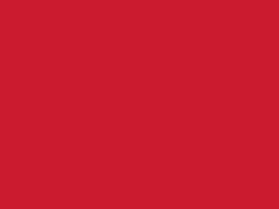 Сетка подкладочная красный, 60г/м2 (10 м/кг) - купить в Ханты-Мансийске. Цена 885.73 руб.