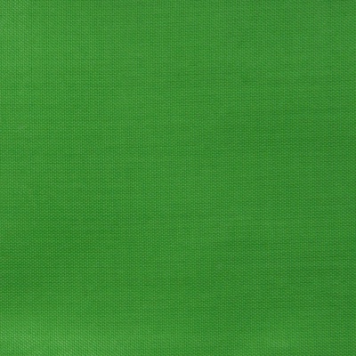 Ткань подкладочная Таффета 17-6153, 48 гр/м2, шир.150см, цвет трава - купить в Ханты-Мансийске. Цена 54.64 руб.