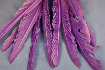 Декоративный Пучок из перьев, перо 25см/фиолетовый - купить в Ханты-Мансийске. Цена: 12.19 руб.
