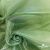Ткань органза, 100% полиэстр, 28г/м2, шир. 150 см, цв. #27 зеленый - купить в Ханты-Мансийске. Цена 86.24 руб.