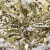 Трикотажное полотно, Сетка с пайетками, шир.130 см, #315, цв.-белый/золото - купить в Ханты-Мансийске. Цена 693.39 руб.
