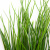 Трава искусственная -4, шт  (осока 50 см/8 см  7 листов)				 - купить в Ханты-Мансийске. Цена: 130.73 руб.