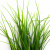 Трава искусственная -3, шт (осока 50 см/8 см  5 листов)				 - купить в Ханты-Мансийске. Цена: 124.17 руб.